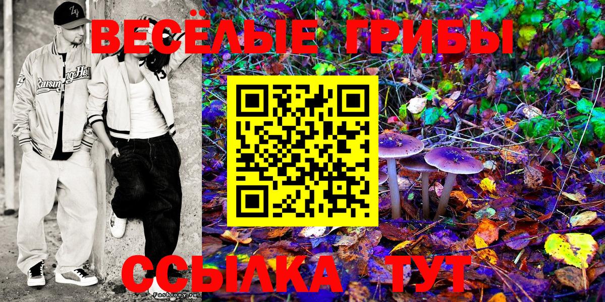 Киреевск  Галлюциногенные грибы MAGIC MUSHROOMS  Вход с VPN 